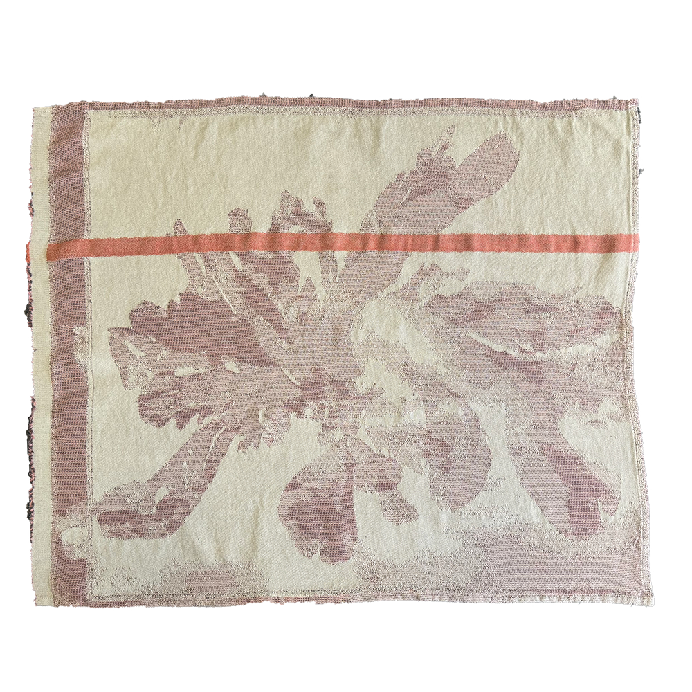 Nitiphyllum Guest Towel