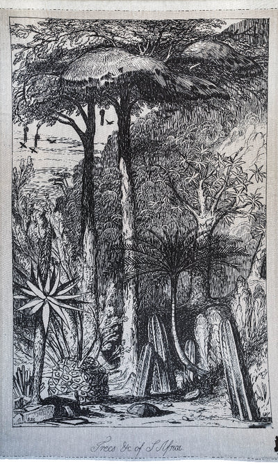 Trees of South Africa 1 Panel