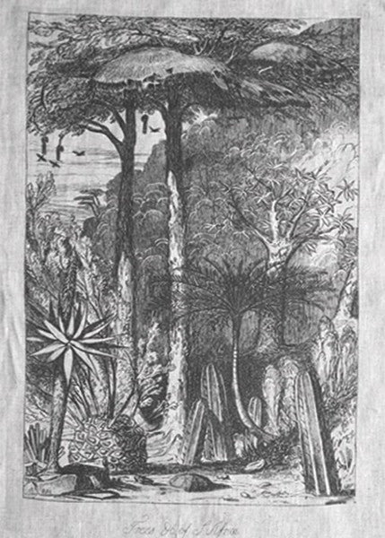 Trees of South Africa 1 Panel